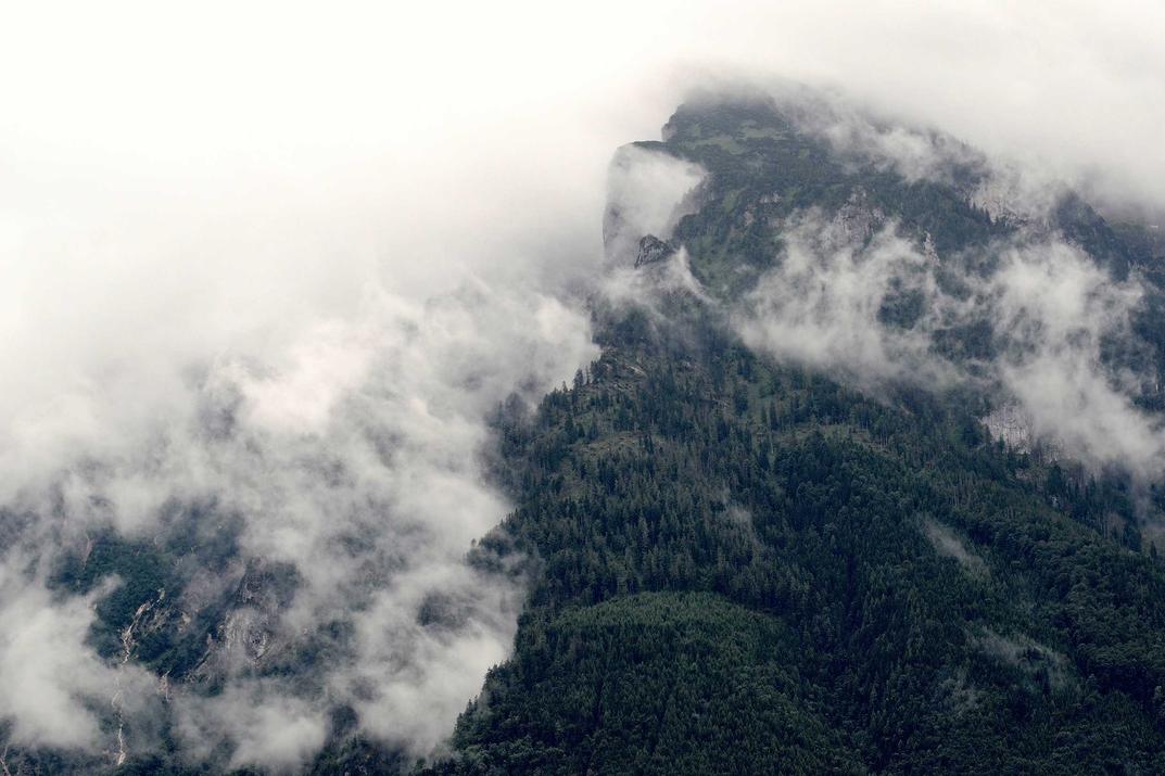 Omnis autem porro magnam exercitationem consequatur aliquam