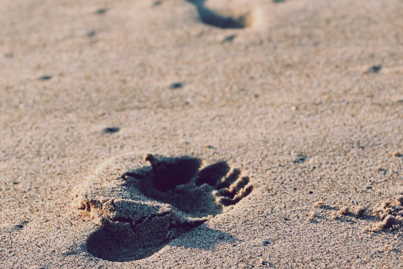 Eligendi sed suscipit perferendis